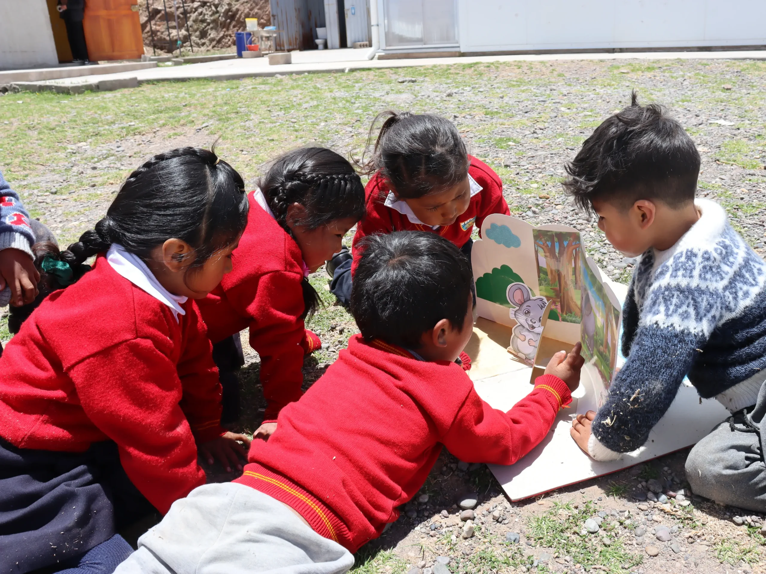 programa-educacion-5